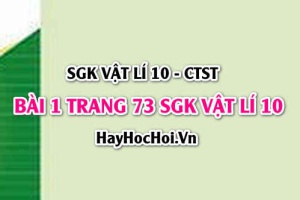 Giải bài 1 trang 73 SGK Vật lí 10 Chân trời sáng tạo